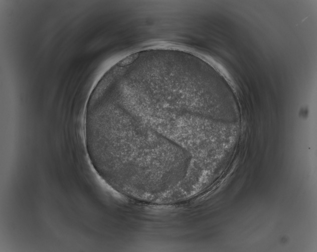 X0000096981247200803071022