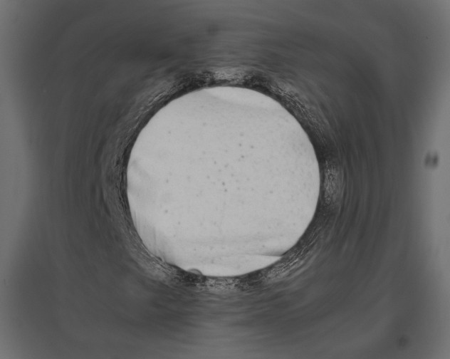 X0000096981249200803071021