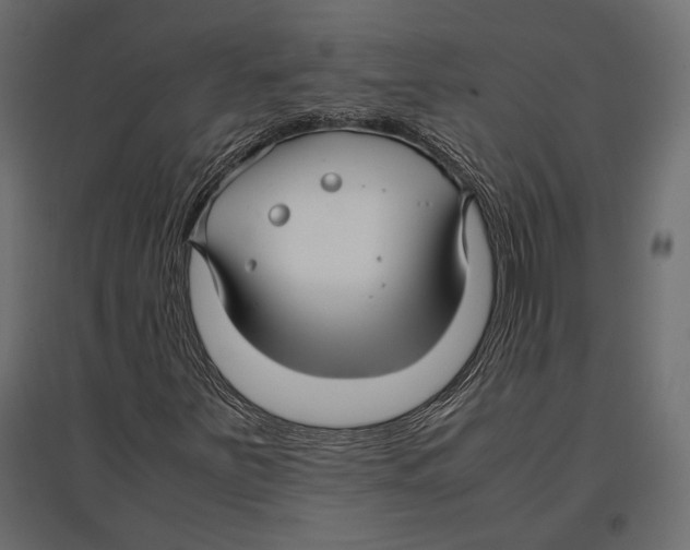 X0000096981251200803071021