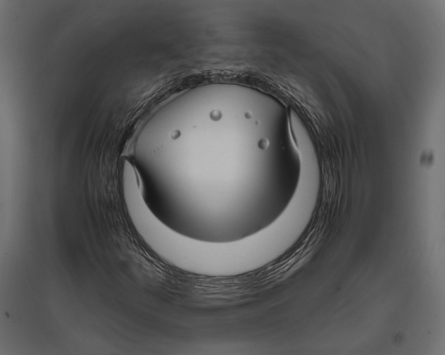 X0000096981252200803071021