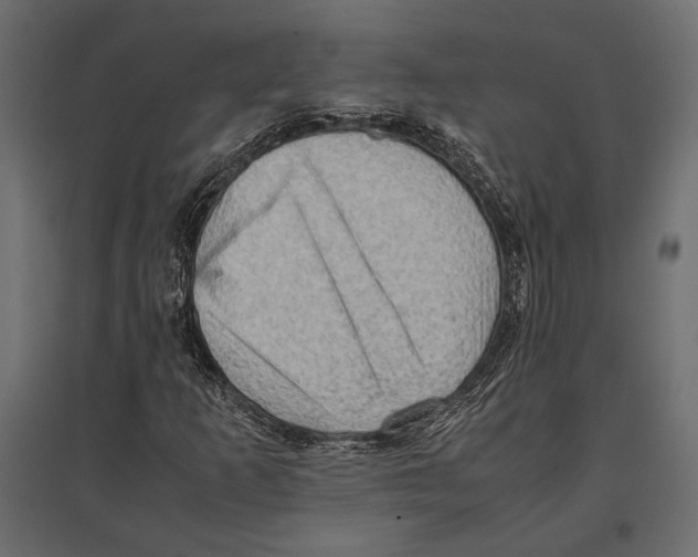 X0000096981253200803071021