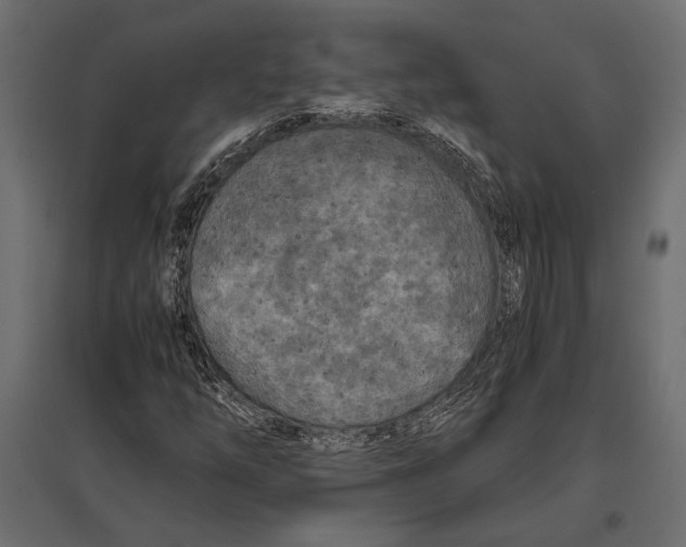 X0000096981254200803071021