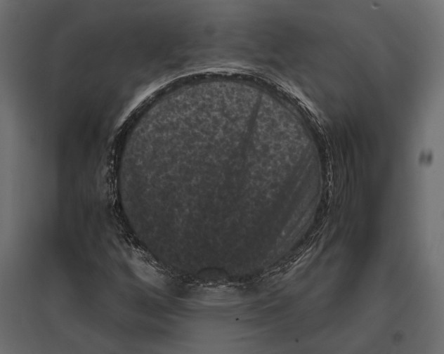 X0000096981256200803071021