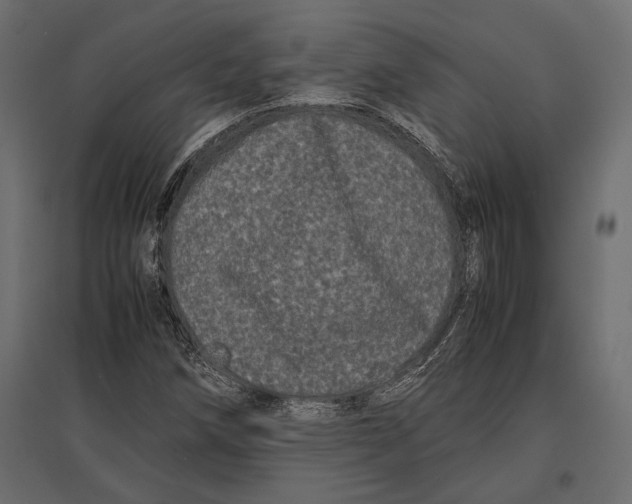 X0000096981258200803071021