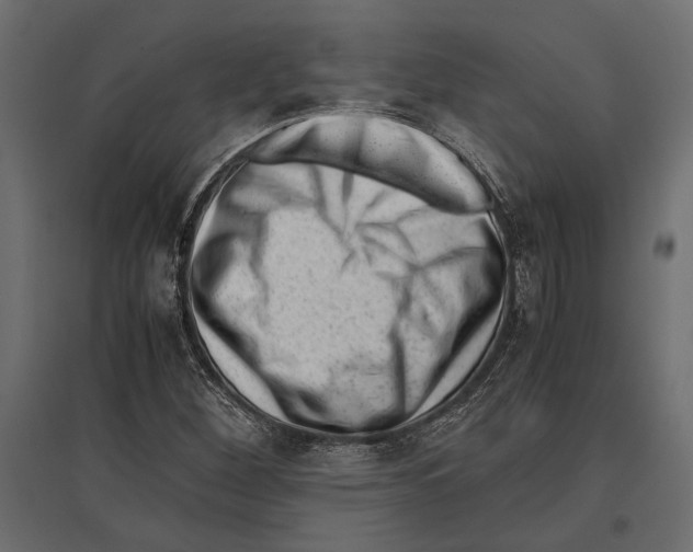 X0000096981260200803071021