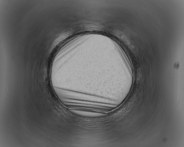 X0000096981261200803071021