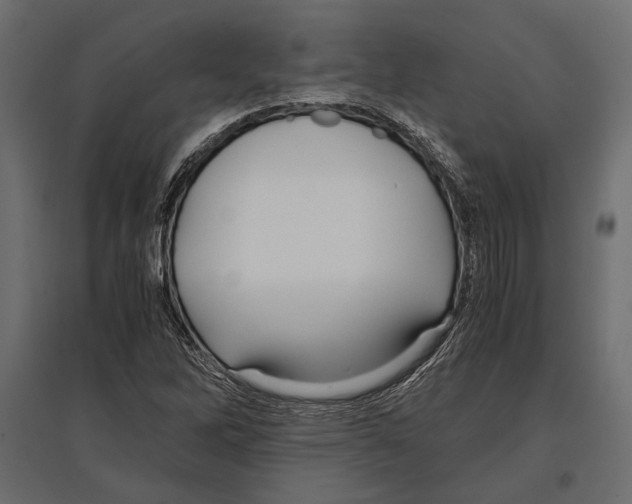 X0000096981262200803071021