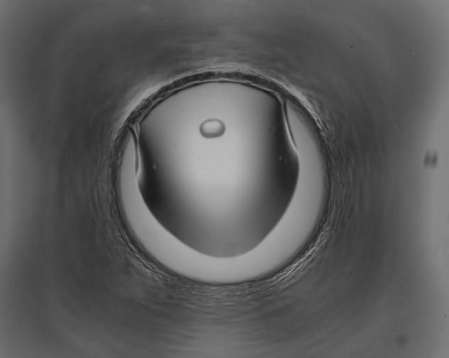 X0000096981263200803071021