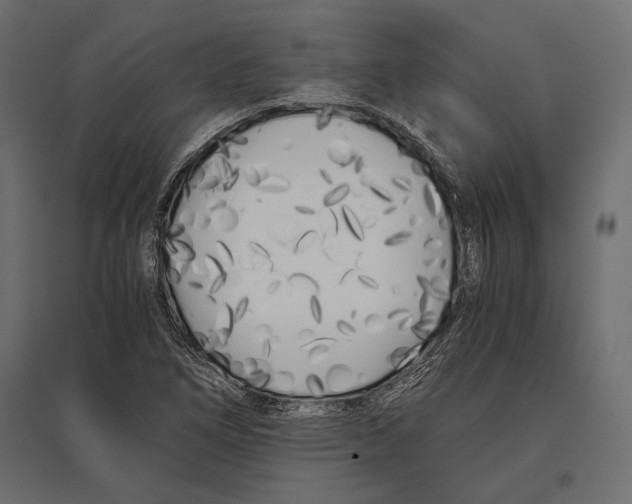 X0000096981266200803071021