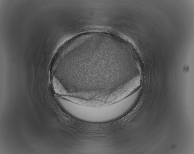 X0000096981267200803071021