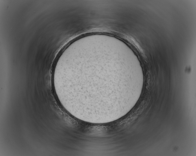 X0000096981268200803071021