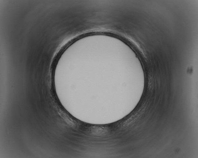 X0000096981270200803071021