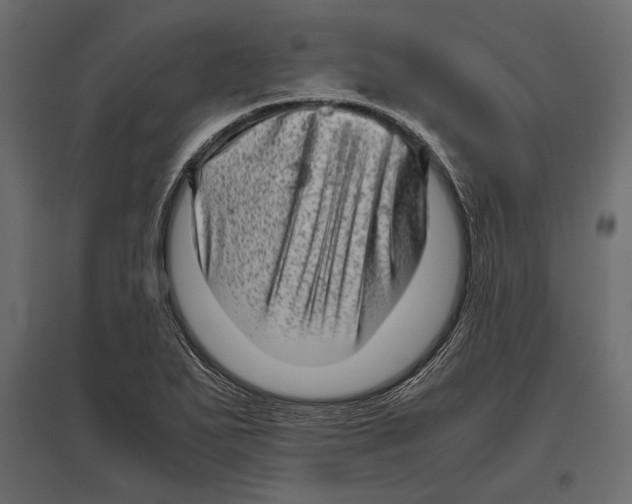 X0000096981271200803071021