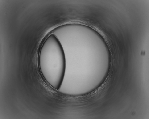 X0000096981272200803071021