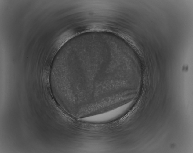 X0000096981273200803071021