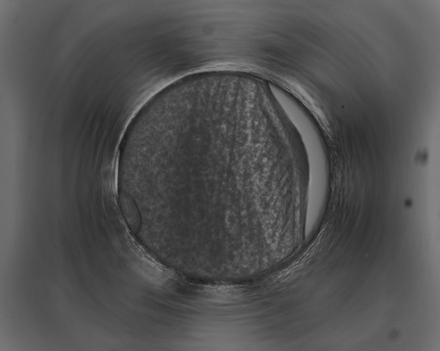 X0000096981276200803071021