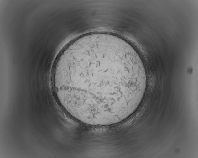 X0000096981278200803071021