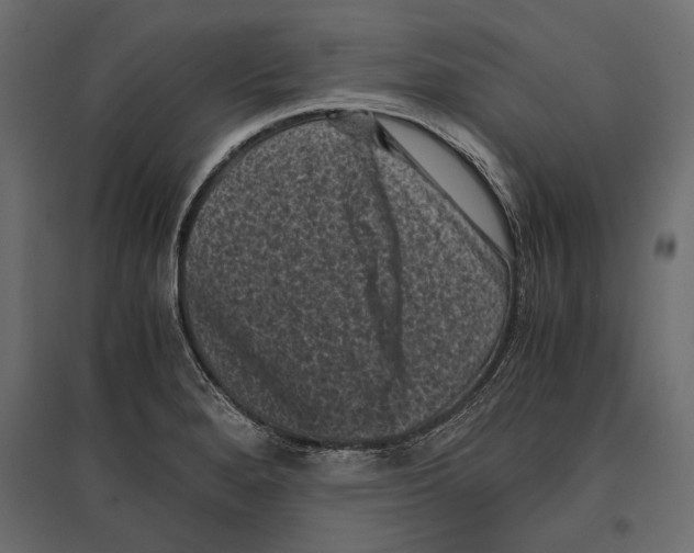 X0000096981280200803071021