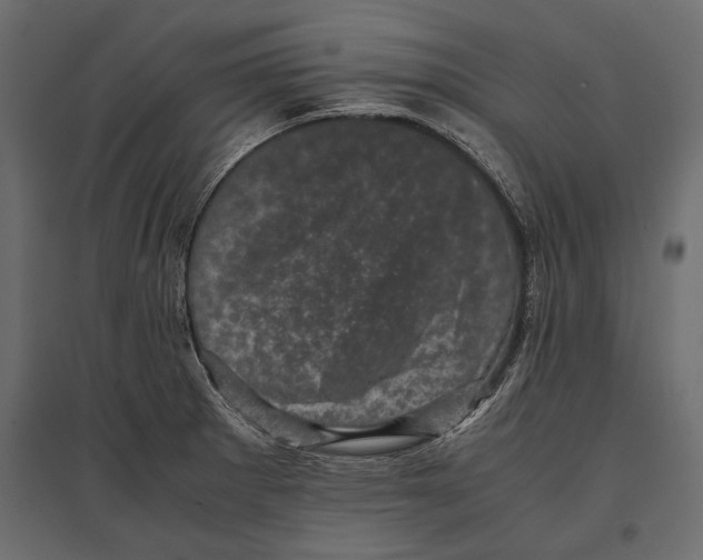 X0000096981281200803071021