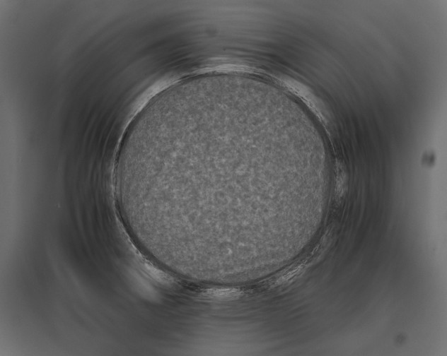 X0000096981282200803071021