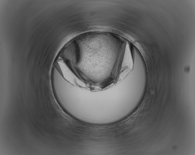 X0000096981283200803071021