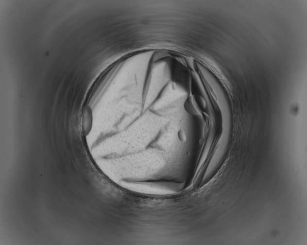 X0000096981284200803071021