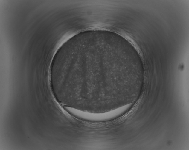 X0000096981285200803071021