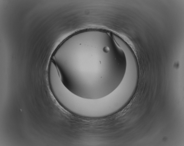 X0000096981287200803071021