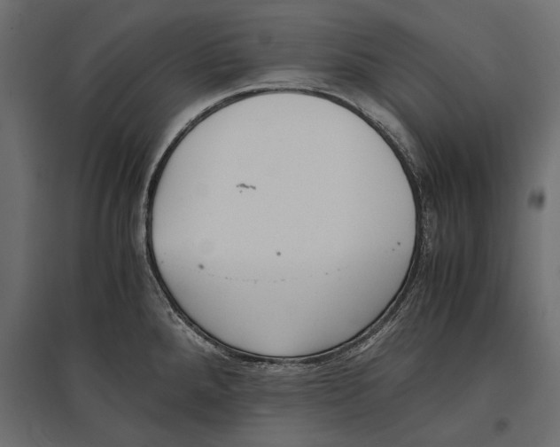 X0000096981288200803071021