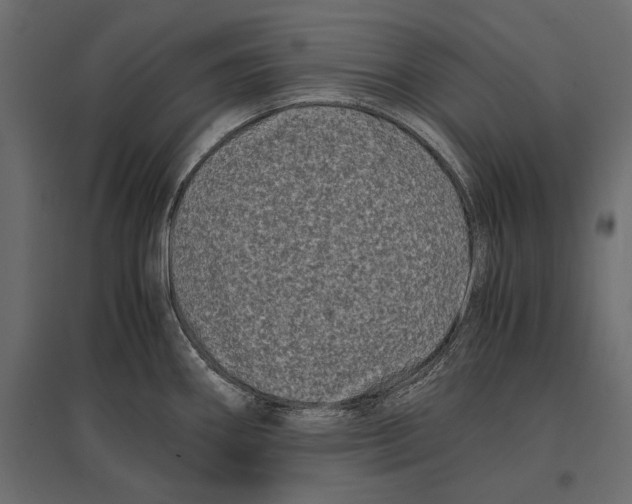 X0000096981290200803071021