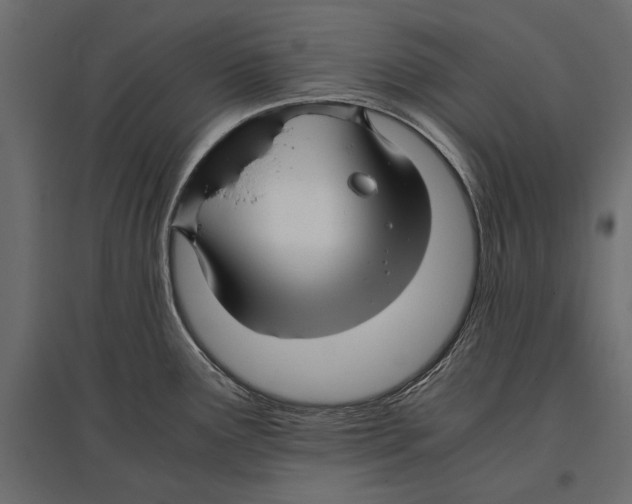 X0000096981291200803071021