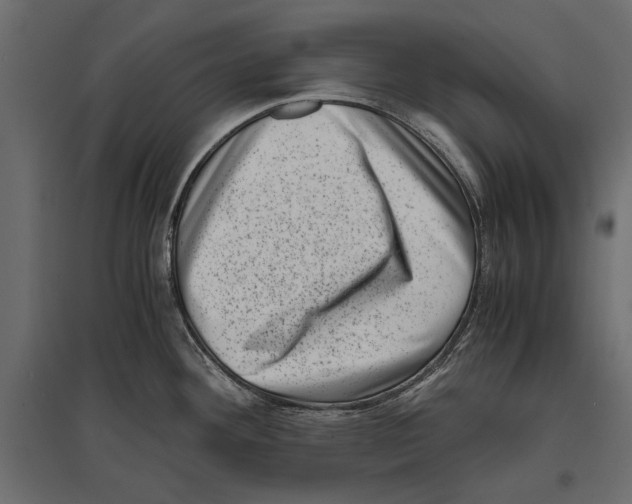 X0000096981292200803071021