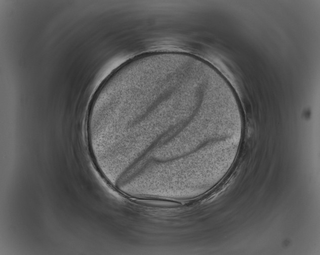 X0000096981293200803071021