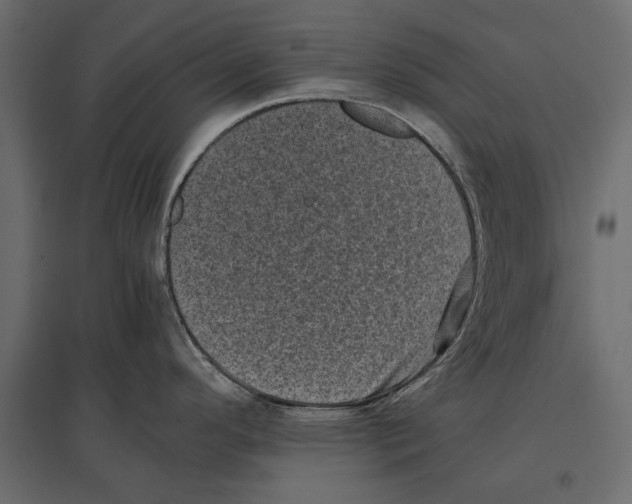 X0000096981296200803071021