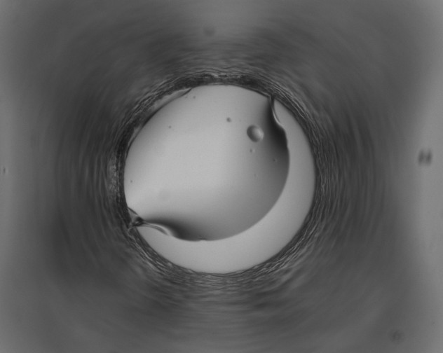 X0000096981298200803071020