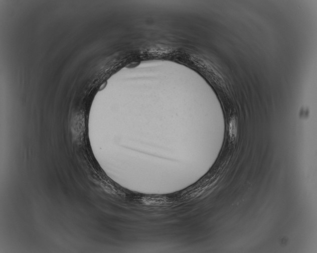 X0000096981299200803071020