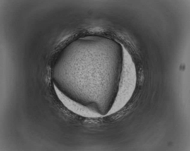 X0000096981301200803071020