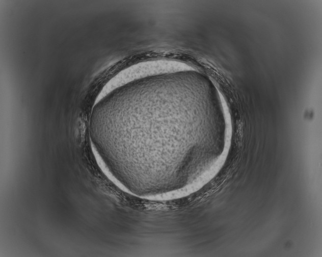 X0000096981302200803071020