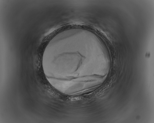 X0000096981303200803071020