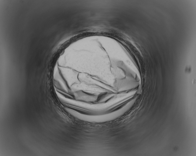 X0000096981304200803071020