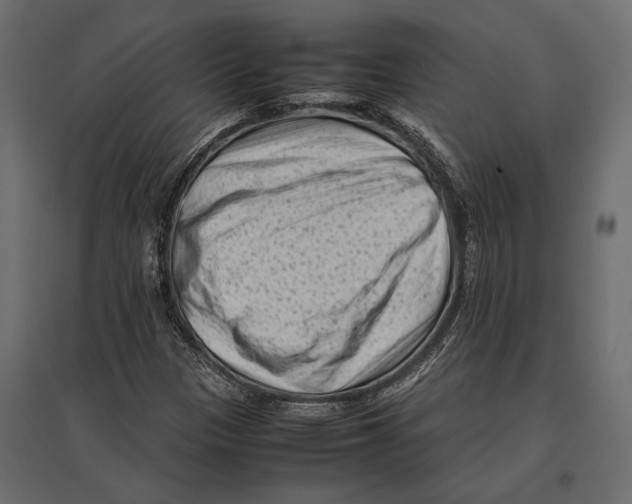 X0000096981305200803071020