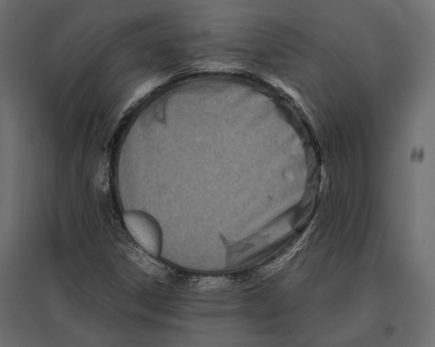 X0000096981306200803071020