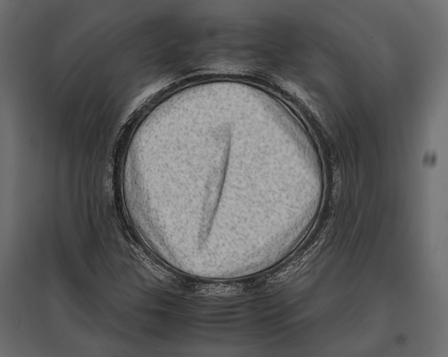 X0000096981307200803071020