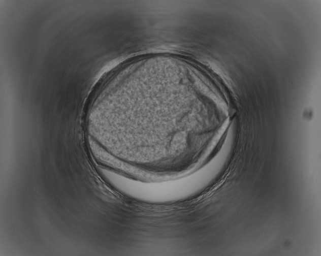 X0000096981308200803071020