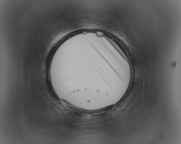 X0000096981311200803071020