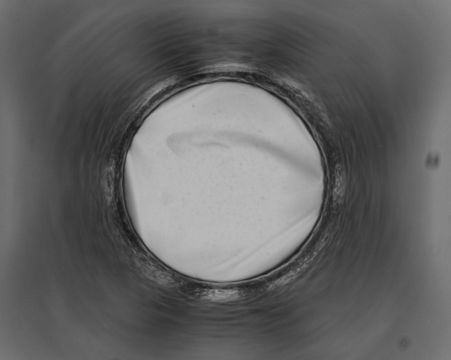 X0000096981313200803071020