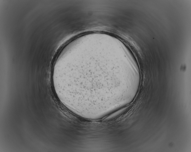 X0000096981316200803071020