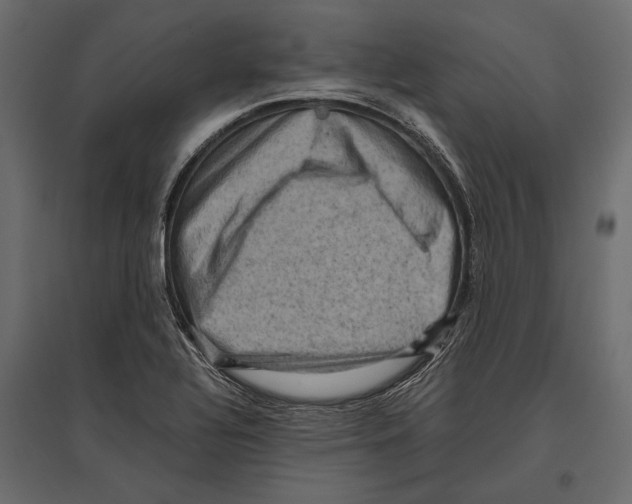 X0000096981320200803071020