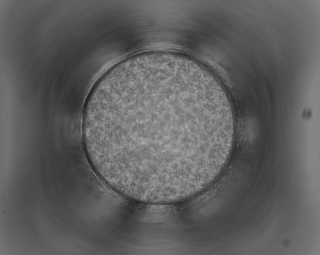 X0000096981322200803071020