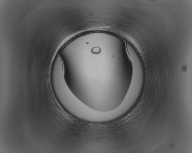 X0000096981324200803071020